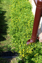 Similar image 22229465