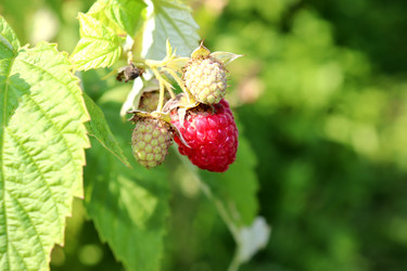 Similar image 22229468