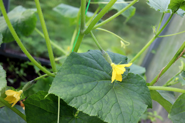 Similar image 22229469