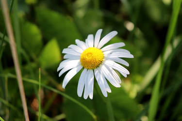 Similar image 22229472