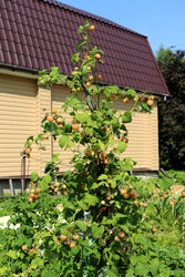 Similar image 22227627