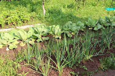 Similar image 22227628