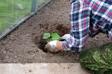 Similar image 22228736