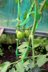 Similar image 22227630