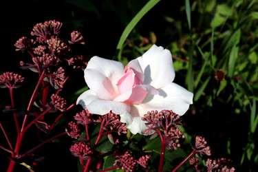 Similar image 22227631