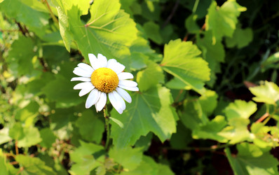 Similar image 22227633