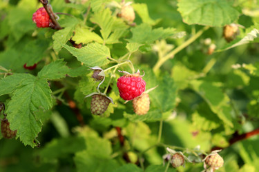 Similar image 22228738