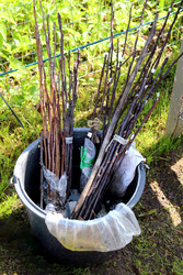 Similar image 22228739