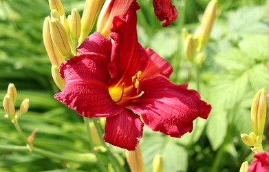 Similar image 22228741