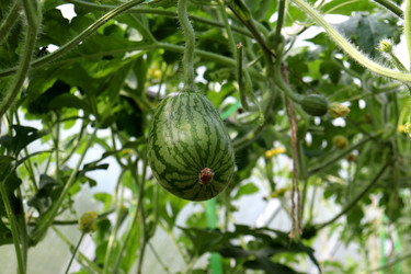 Similar image 22227636