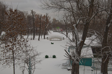 Similar image 22211447