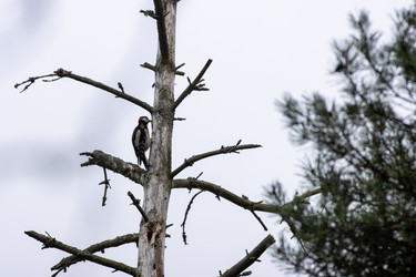 Similar image 22228744