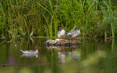 Similar image 22228745