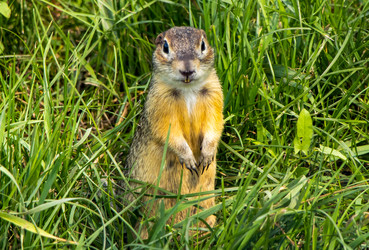 Similar image 22228746