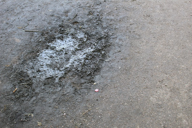 Similar image 22219088