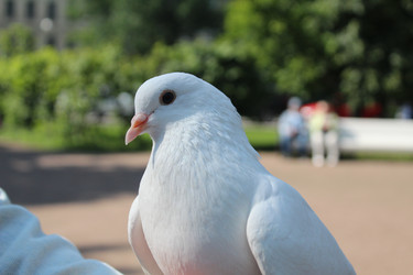 Similar image 22219090