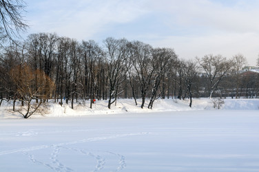 Similar image 22211458