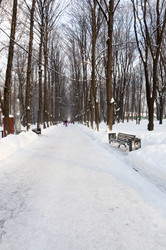 Similar image 22211460