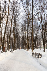 Similar image 22211461