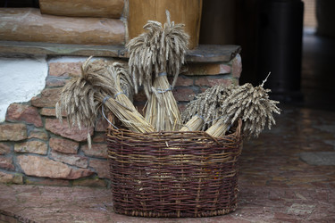 Similar image 22226540