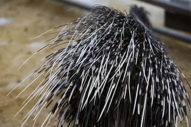 Similar image 22226552