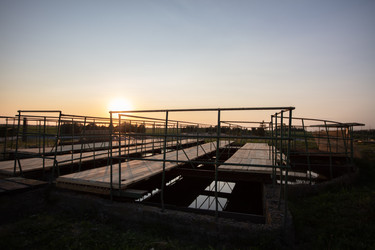 Similar image 22226557