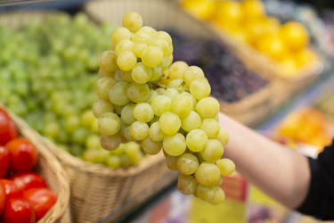 Similar image 22226559