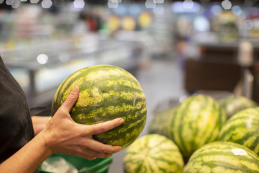 Similar image 22226561