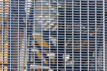 Similar image 22231640