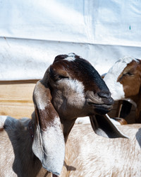 Similar image 22210722