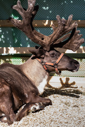 Similar image 22210724