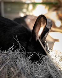 Similar image 22210725