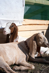 Similar image 22210726