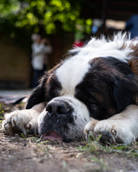 Similar image 22210727