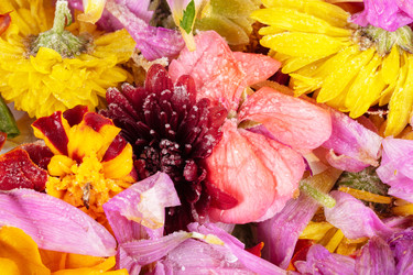 Similar image 22226500