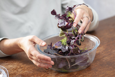 Similar image 22226575