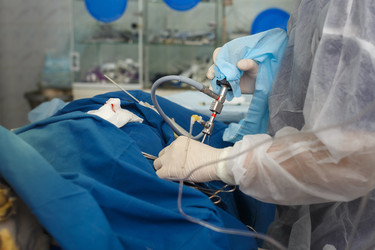 Similar image 22230375