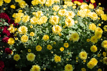 Similar image 22226592