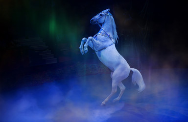 Similar image 22226611