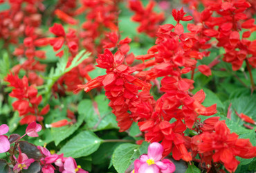 Similar image 22219111