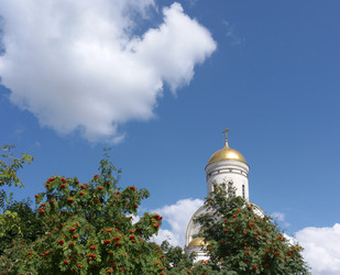 Similar image 22219131