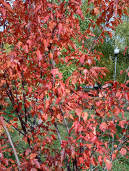 Similar image 22219136