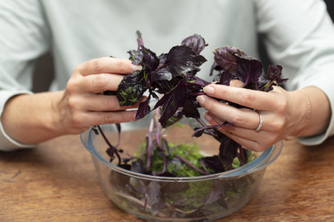 Similar image 22226513