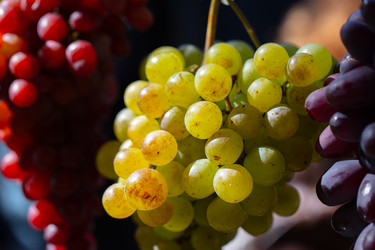 Similar image 22226523