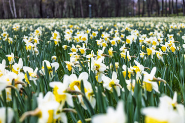 Similar image 22233202