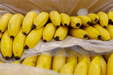 Similar image 22226652