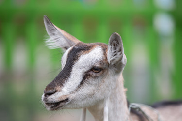 Similar image 22226660