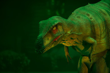 Similar image 22226671