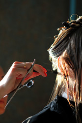 Similar image 22210894