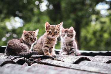 Similar image 22210898